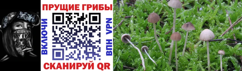 Галлюциногенные грибы MAGIC MUSHROOMS Пласт